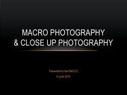 Macro Photography