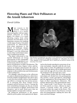 Flowering Plants and Their Pollinators at the Arnold