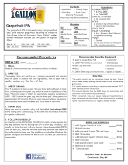 Grapefruit IPA - Brewer`s Best