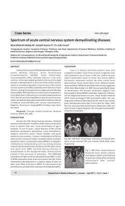 Spectrum of acute central nervous system demyelinating diseases