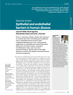 Epithelial and endothelial barriers in human disease