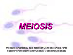 CHROMOSOME ABERRATIONS