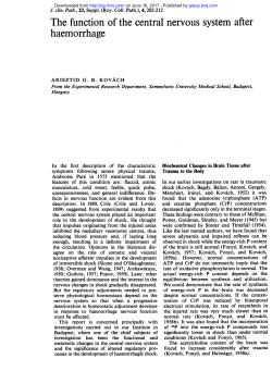 The function of the central nervous system after haemorrhage