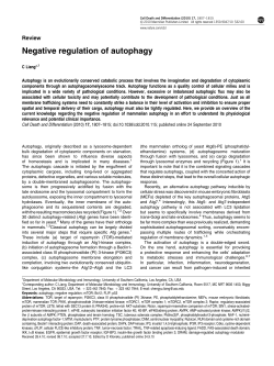 Negative regulation of autophagy