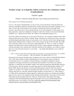 Predator escape: an ecologically realistic scenario for the