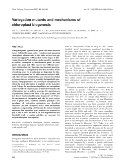 Variegation mutants and mechanisms of chloroplast biogenesis