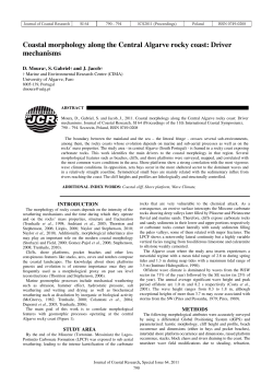 Coastal morphology along the Central Algarve rocky