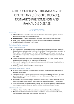 atherosclerosis, thrombangiitis obliterans (b&uuml;rger`s disease)