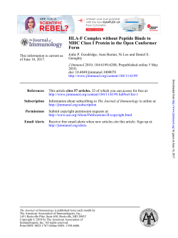 Form MHC Class I Protein in the Open Conformer HLA