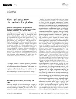 Plant hydraulics: new discoveries in the pipeline