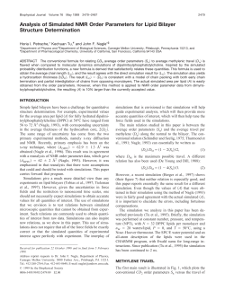 Analysis of Simulated NMR Order Parameters for Lipid