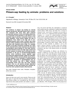 Phloem-sap feeding by animals: problems and