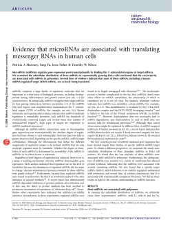 Evidence that microRNAs are associated with translating messenger