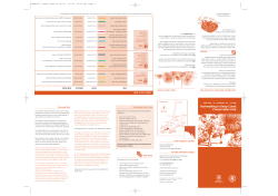 Deep Creek Bushwalking Brochure