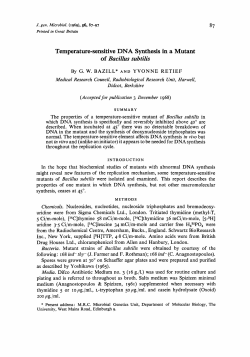 Temperature-sensitive DNA Synthesis in a Mutant of