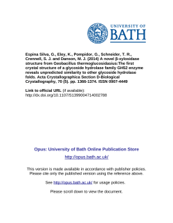 - University of Bath Opus