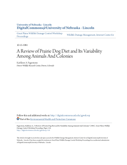 A Review of Prairie Dog Diet and Its Variability Among Animals And