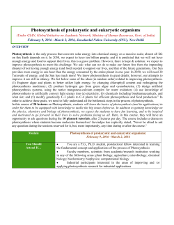 Photosynthesis of prokaryotic and eukaryotic organisms
