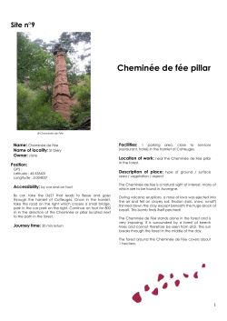 Chemin&eacute;e de f&eacute;e pillar