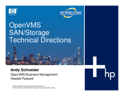 OpenVMS SAN/Storage Technical Directions