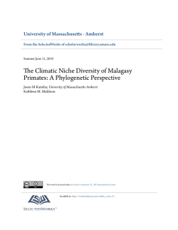 The Climatic Niche Diversity of Malagasy Primates: A Phylogenetic