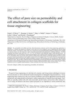 The effect of pore size on permeability and cell attachment in