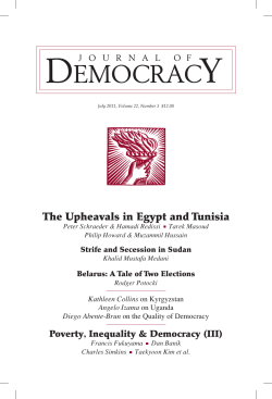 The Upheavals in Egypt and Tunisia