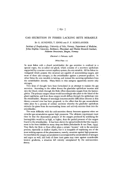 gas secretion in fishes lacking rete mirabile