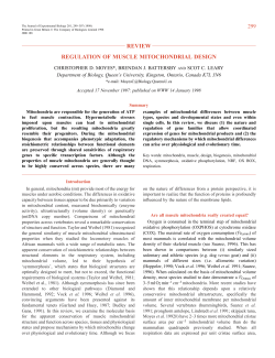 Mitochondrial design