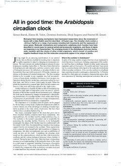 All in good time: the Arabidopsis circadian clock
