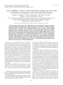 Loss of SMEK, a Novel, Conserved Protein, Suppresses mek1 Null