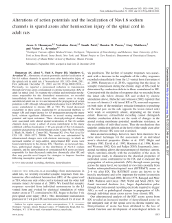 Alterations of action potentials and the localization of Nav1.6 sodium