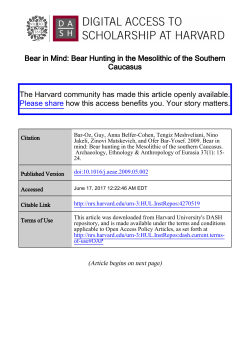 Bear in Mind: Bear Hunting in the Mesolithic of the Southern