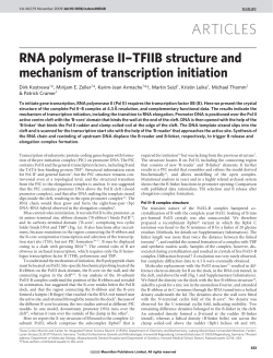 RNA polymerase II-TFIIB structure and mechanism of transcription