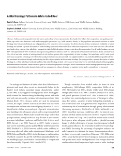 Antler Breakage Patterns in White-tailed Deer