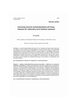 Immortal porcine lymphoblastoid cell lines: interest for