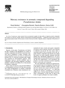 Mercury resistance in aromatic compound degrading Pseudomonas