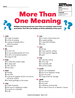 More Than One Meaning