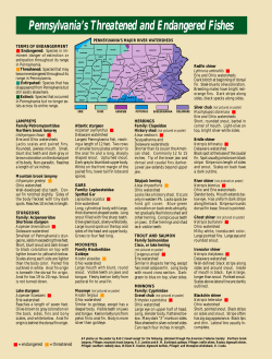 PA`s Threatened and Endangered Fishes