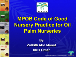 Code of Good Nursery Practice for Oil Palm Nurseries
