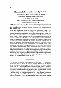 The Assimilation of Amino-acids by Bacteria