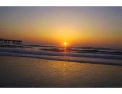 Lipids and Bone Disease/Nutrition for PSC