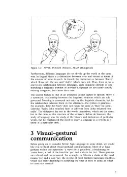 3 Visual-gestural communication