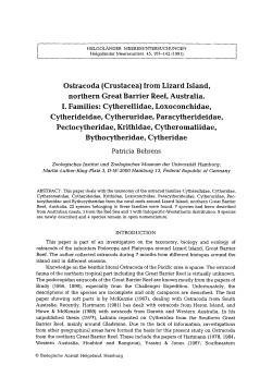 Ostracoda (Crustacea) from Lizard Island, northern Great Barrier
