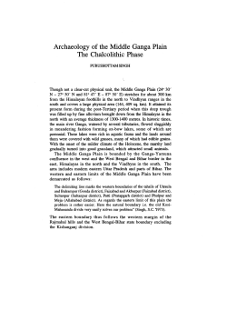 Archaeology of the Middle Ganga Plain The Chalcolithic