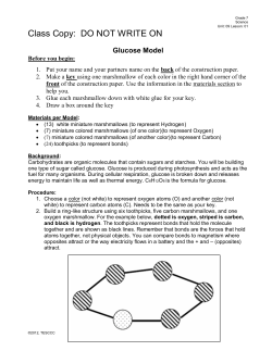 Glucose Model - cloudfront.net