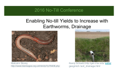 Enabling No-till Yields to Increase with Earthworms, Drainage