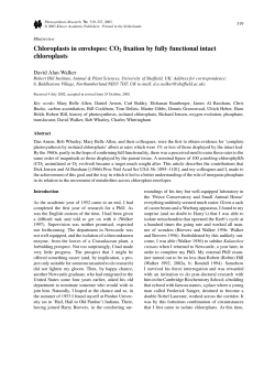 Chloroplasts in envelopes: CO2 fixation by fully