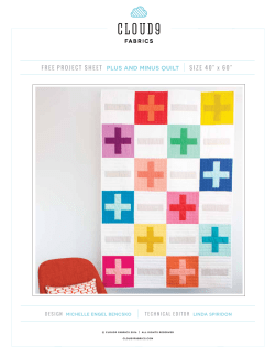 FREE PROJECT SHEET PLUS AND MINUS QUILT SIZE 40" x 60"
