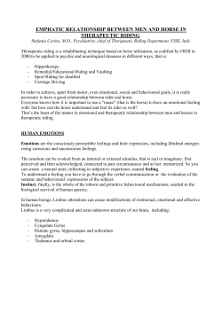 emphatic relationship between men and horse in